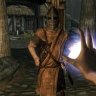 Fores New Idles in Skyrim - FNIS