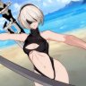 Swimsuit 2B