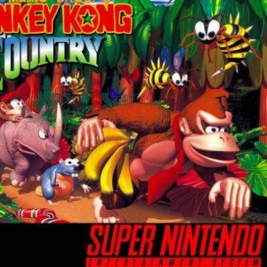 Donkey Kong Country